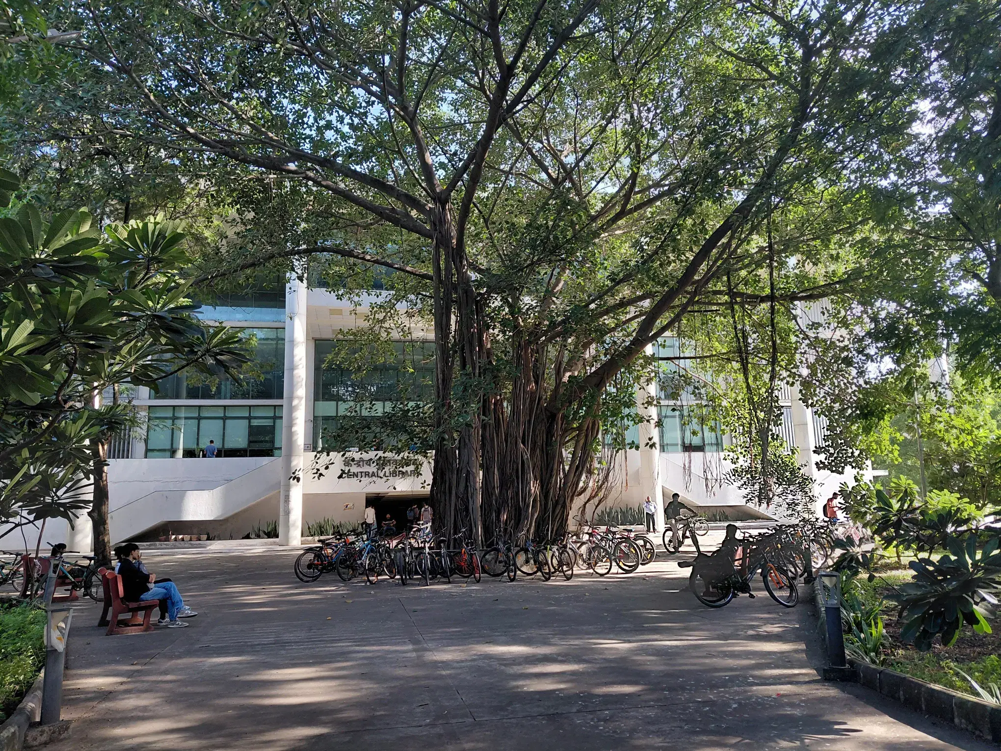 NIT Surat Campus photo 14